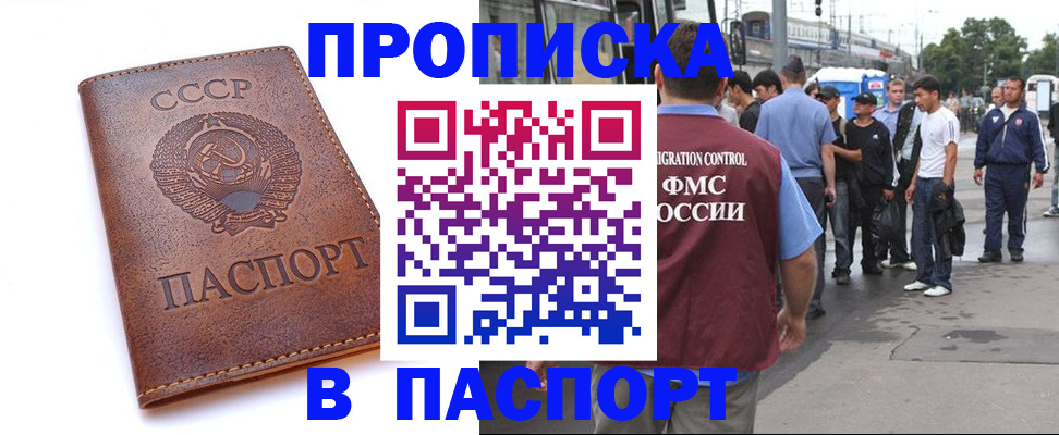 временная регистрация поиск в Новосибирской области